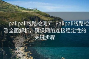 “palipali線(xiàn)路檢測5”P(pán)alipali線(xiàn)路檢測全面解析，確保網(wǎng)絡(luò )連接穩定性的關(guān)鍵步驟