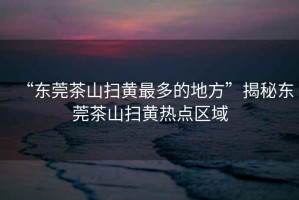 “東莞茶山掃黃最多的地方”揭秘東莞茶山掃黃熱點(diǎn)區域