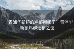 “青浦華新鎮的雞都搬哪了”青浦華新鎮雞群遷移之謎
