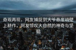 奇觀(guān)再現，網(wǎng)友捕捉到大爺懸崖峭壁上耕作，網(wǎng)友驚嘆大自然的神奇與堅韌