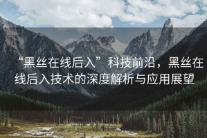“黑絲在線(xiàn)后入”科技前沿，黑絲在線(xiàn)后入技術(shù)的深度解析與應用展望