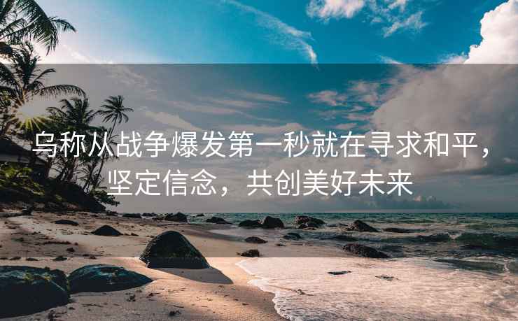 烏稱(chēng)從戰爭爆發(fā)第一秒就在尋求和平，堅定信念，共創(chuàng  )美好未來(lái)