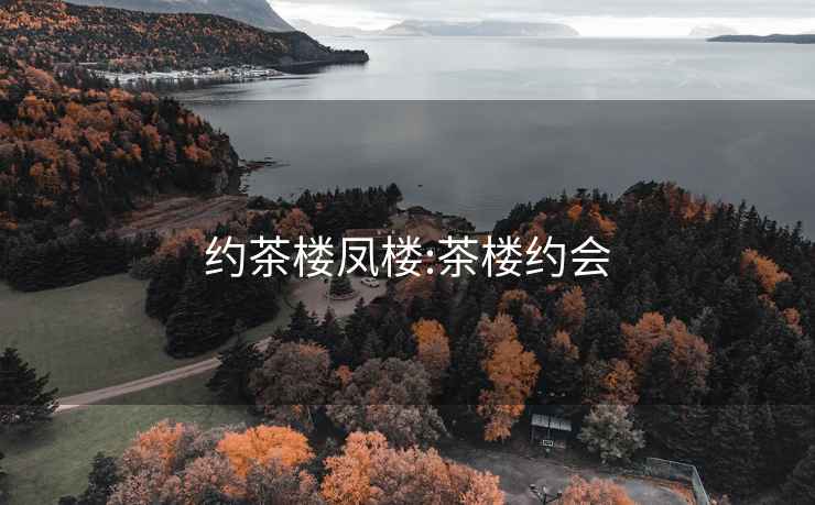 約茶樓鳳樓:茶樓約會(huì )