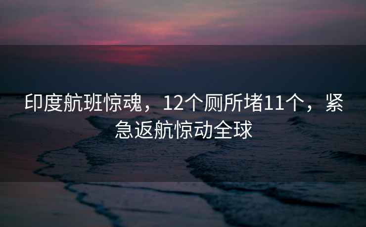 印度航班驚魂，12個(gè)廁所堵11個(gè)，緊急返航驚動(dòng)全球