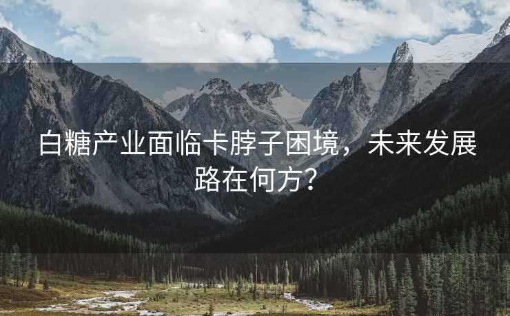 白糖產(chǎn)業(yè)面臨卡脖子困境，未來(lái)發(fā)展路在何方？