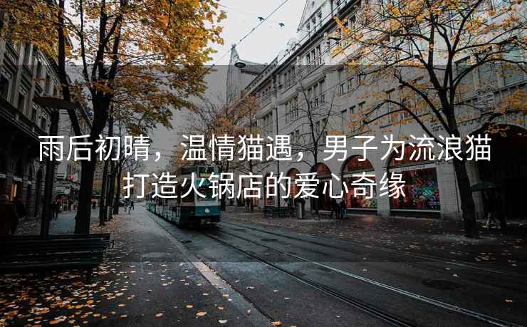 雨后初晴，溫情貓遇，男子為流浪貓打造火鍋店的愛(ài)心奇緣