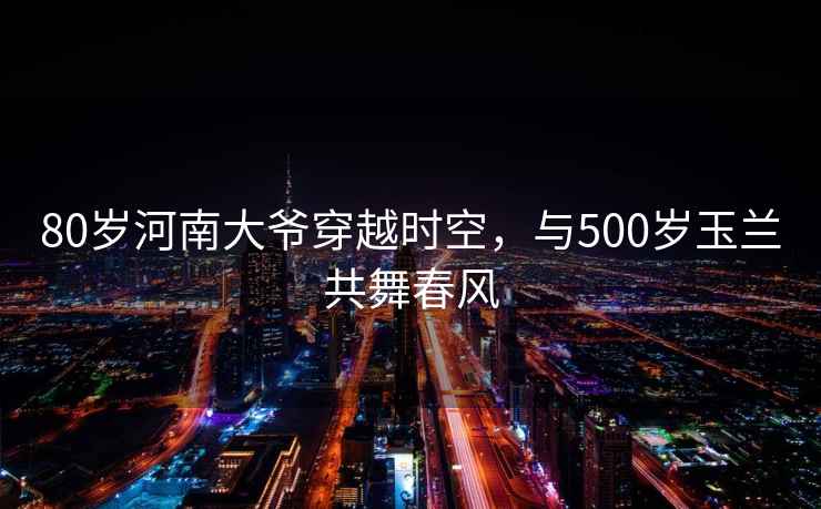 80歲河南大爺穿越時(shí)空，與500歲玉蘭共舞春風(fēng)