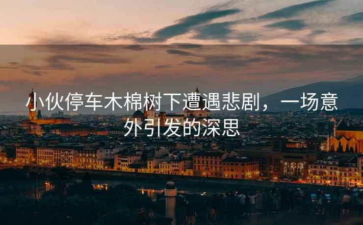 小伙停車(chē)木棉樹(shù)下遭遇悲劇，一場(chǎng)意外引發(fā)的深思