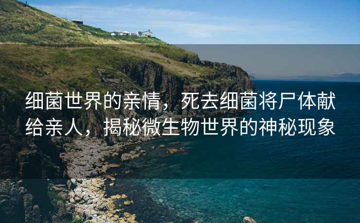 細菌世界的親情，死去細菌將尸體獻給親人，揭秘微生物世界的神秘現象