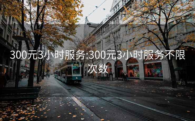 300元3小時(shí)服務(wù):300元3小時(shí)服務(wù)不限次數