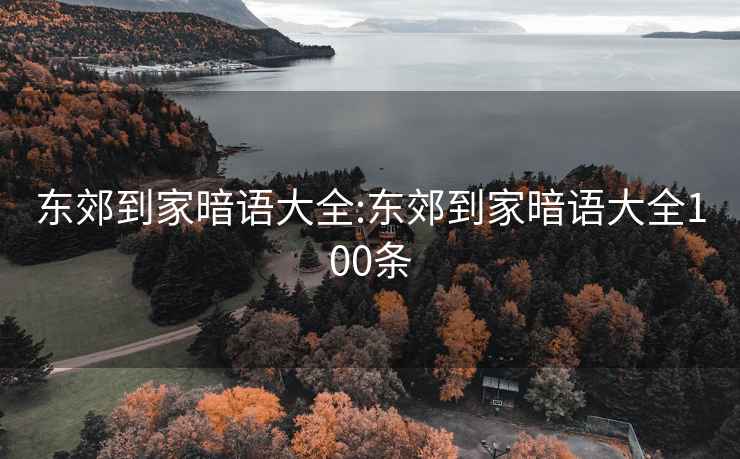 東郊到家暗語(yǔ)大全:東郊到家暗語(yǔ)大全100條