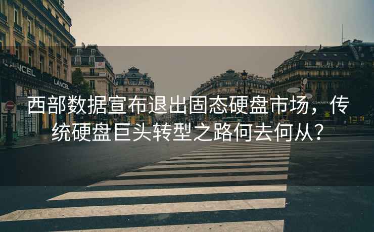 西部數據宣布退出固態(tài)硬盤(pán)市場(chǎng)，傳統硬盤(pán)巨頭轉型之路何去何從？