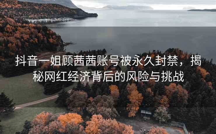 抖音一姐顧茜茜賬號被永久封禁，揭秘網(wǎng)紅經(jīng)濟背后的風(fēng)險與挑戰