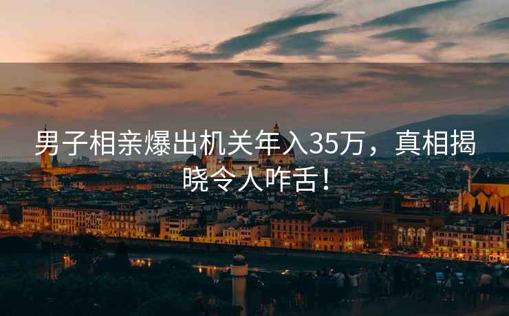 男子相親爆出機關(guān)年入35萬(wàn)，真相揭曉令人咋舌！