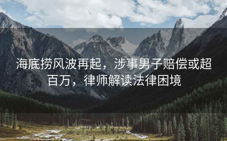 海底撈風(fēng)波再起，涉事男子賠償或超百萬(wàn)，律師解讀法律困境