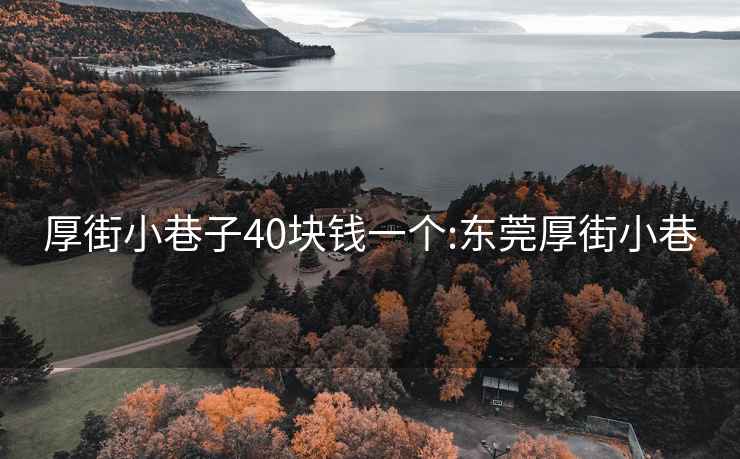 厚街小巷子40塊錢(qián)一個(gè):東莞厚街小巷