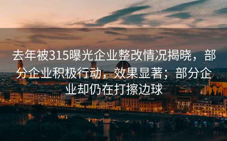 去年被315曝光企業(yè)整改情況揭曉，部分企業(yè)積極行動(dòng)，效果顯著(zhù)；部分企業(yè)卻仍在打擦邊球