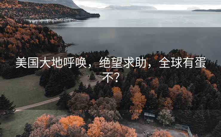 美國大地呼喚，絕望求助，全球有蛋不？
