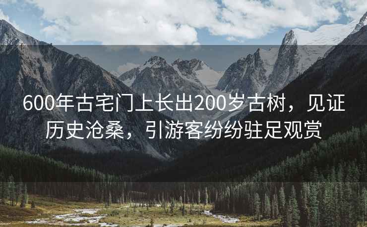 600年古宅門(mén)上長(cháng)出200歲古樹(shù)，見(jiàn)證歷史滄桑，引游客紛紛駐足觀(guān)賞