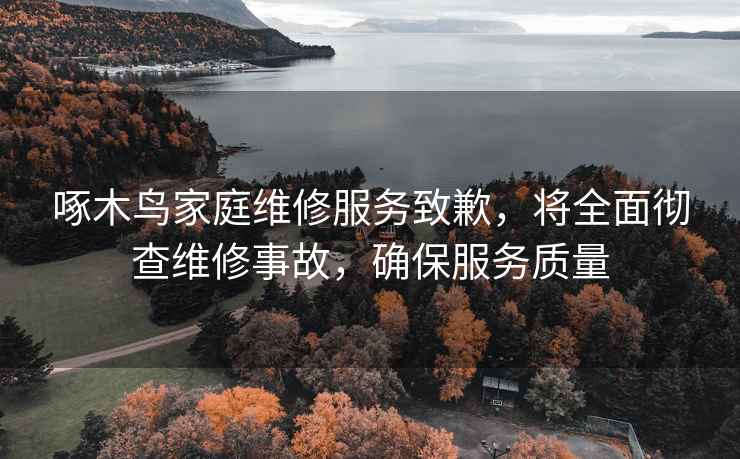 啄木鳥(niǎo)家庭維修服務(wù)致歉，將全面徹查維修事故，確保服務(wù)質(zhì)量