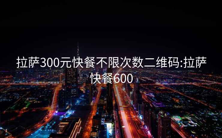 拉薩300元快餐不限次數二維碼:拉薩快餐600