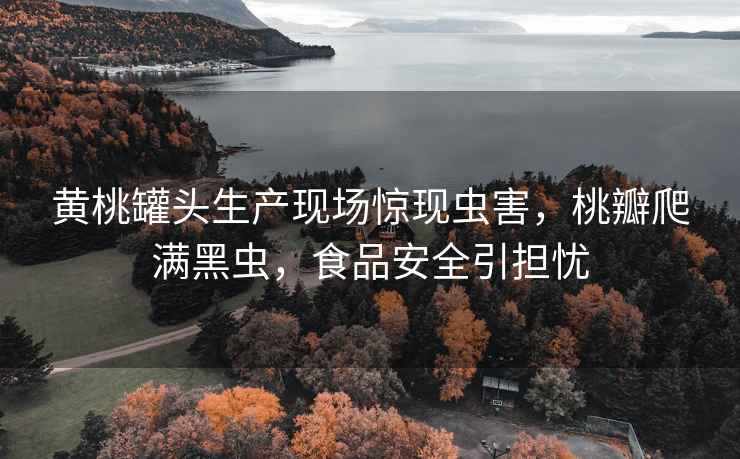 黃桃罐頭生產(chǎn)現場(chǎng)驚現蟲(chóng)害，桃瓣爬滿(mǎn)黑蟲(chóng)，食品安全引擔憂(yōu)