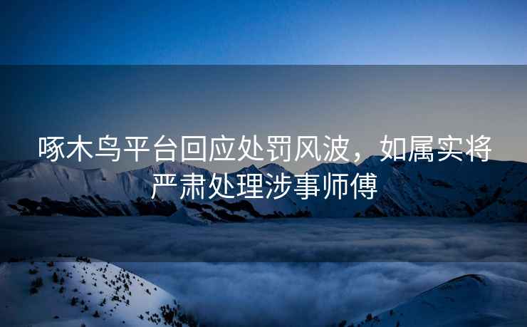 啄木鳥(niǎo)平臺回應處罰風(fēng)波，如屬實(shí)將嚴肅處理涉事師傅