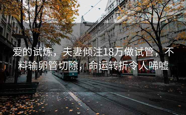 愛(ài)的試煉，夫妻傾注18萬(wàn)做試管，不料輸卵管切除，命運轉折令人唏噓