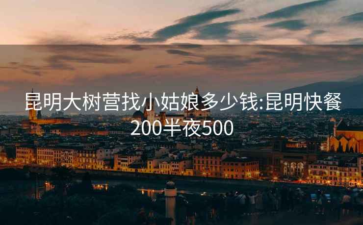 昆明大樹(shù)營(yíng)找小姑娘多少錢(qián):昆明快餐200半夜500