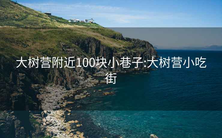 大樹(shù)營(yíng)附近100塊小巷子:大樹(shù)營(yíng)小吃街