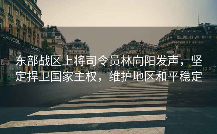東部戰區上將司令員林向陽(yáng)發(fā)聲，堅定捍衛國家主權，維護地區和平穩定