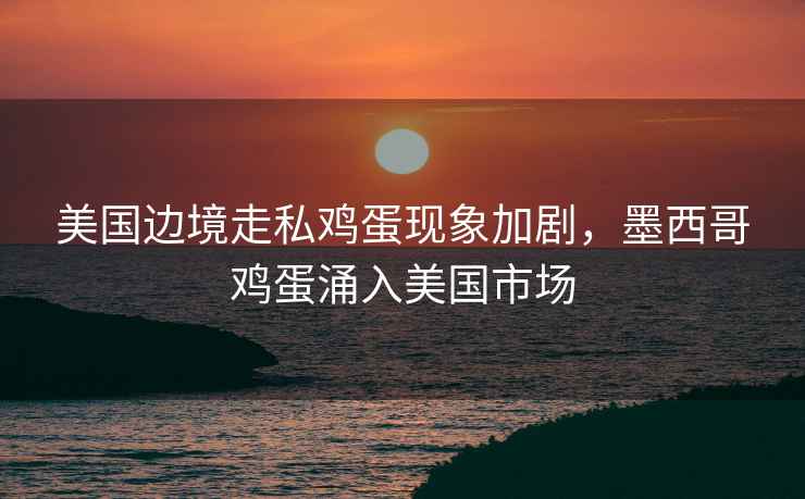 美國邊境走私雞蛋現象加劇，墨西哥雞蛋涌入美國市場(chǎng)