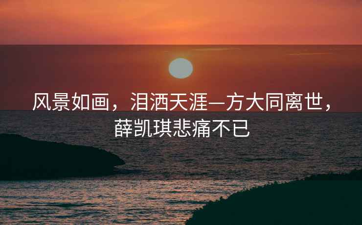 風(fēng)景如畫(huà)，淚灑天涯—方大同離世，薛凱琪悲痛不已