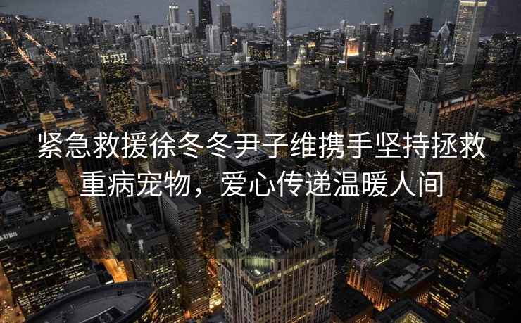 緊急救援徐冬冬尹子維攜手堅持拯救重病寵物，愛(ài)心傳遞溫暖人間