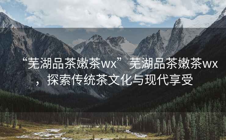 “蕪湖品茶嫩茶wx”蕪湖品茶嫩茶wx，探索傳統茶文化與現代享受