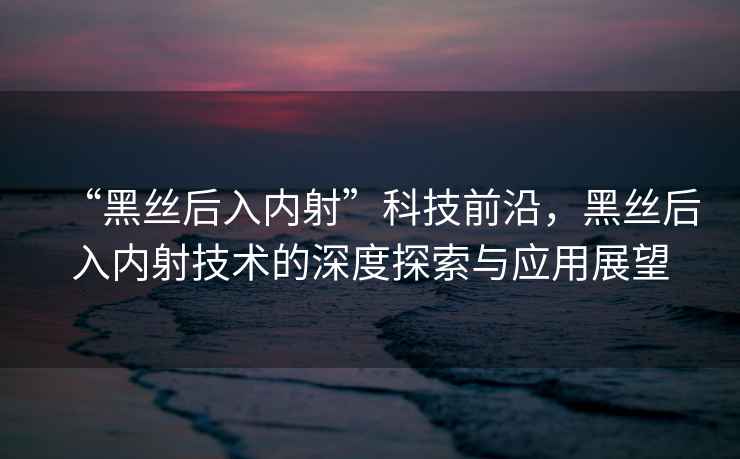 “黑絲后入內射”科技前沿，黑絲后入內射技術(shù)的深度探索與應用展望