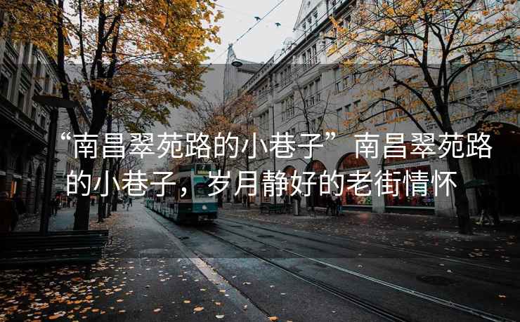 “南昌翠苑路的小巷子”南昌翠苑路的小巷子，歲月靜好的老街情懷