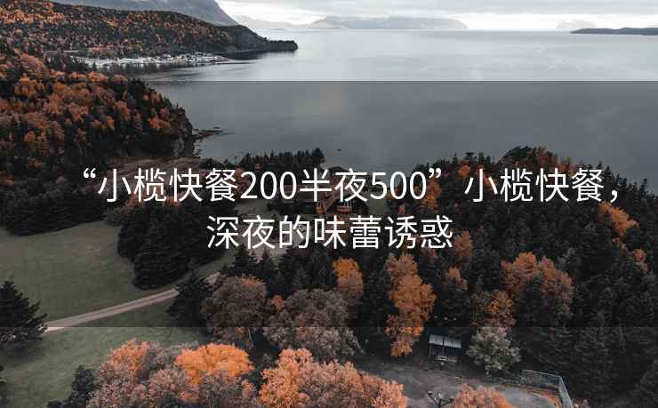 “小欖快餐200半夜500”小欖快餐，深夜的味蕾誘惑