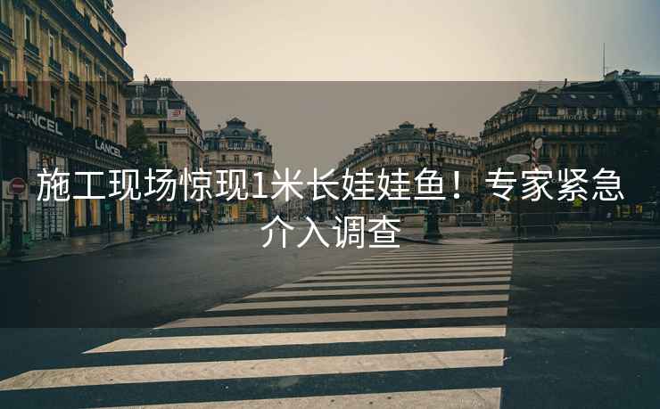 施工現場(chǎng)驚現1米長(cháng)娃娃魚(yú)！專(zhuān)家緊急介入調查