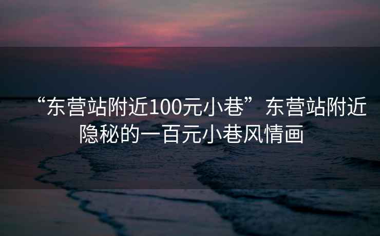 “東營(yíng)站附近100元小巷”東營(yíng)站附近隱秘的一百元小巷風(fēng)情畫(huà)