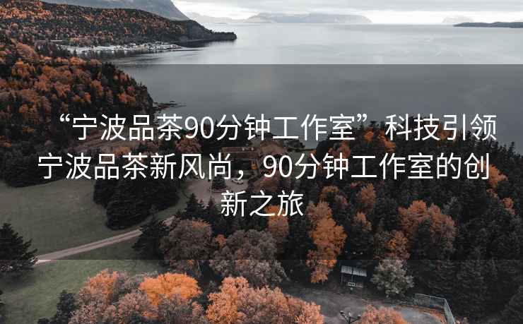 “寧波品茶90分鐘工作室”科技引領(lǐng)寧波品茶新風(fēng)尚，90分鐘工作室的創(chuàng  )新之旅