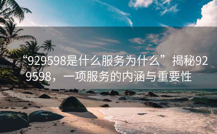 “929598是什么服務(wù)為什么”揭秘929598，一項服務(wù)的內涵與重要性
