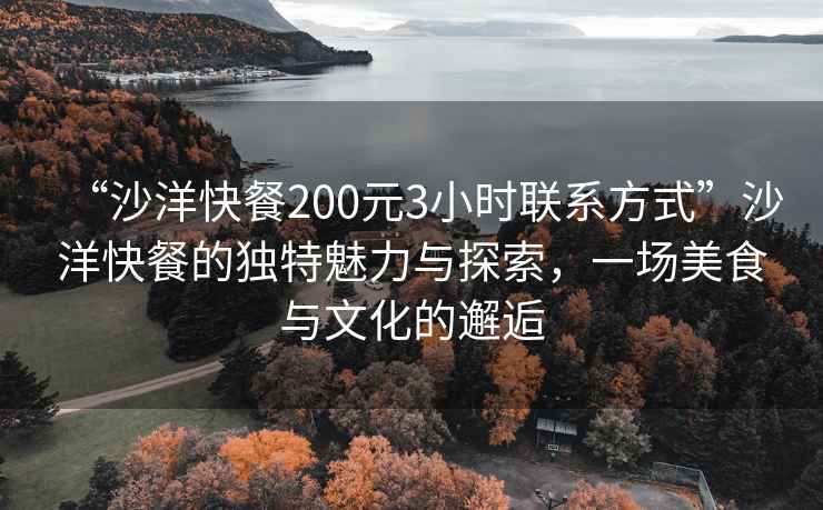 “沙洋快餐200元3小時(shí)聯(lián)系方式”沙洋快餐的獨特魅力與探索，一場(chǎng)美食與文化的邂逅