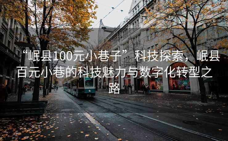 “岷縣100元小巷子”科技探索，岷縣百元小巷的科技魅力與數字化轉型之路