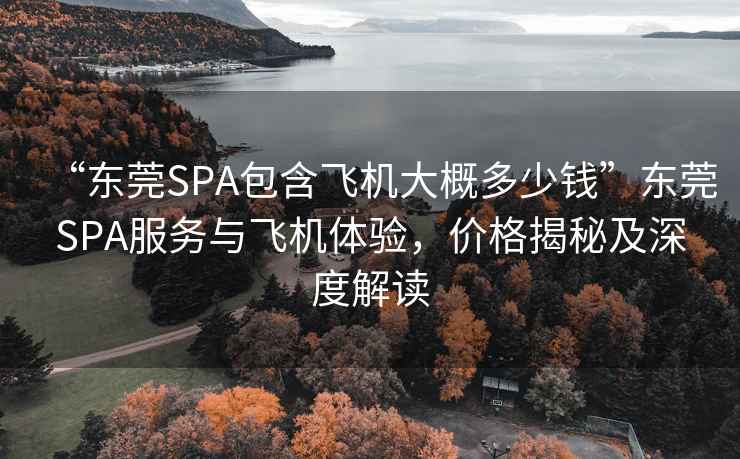 “東莞SPA包含飛機大概多少錢(qián)”東莞SPA服務(wù)與飛機體驗，價(jià)格揭秘及深度解讀