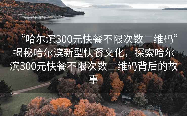 “哈爾濱300元快餐不限次數二維碼”揭秘哈爾濱新型快餐文化，探索哈爾濱300元快餐不限次數二維碼背后的故事