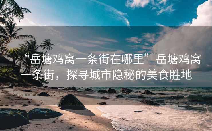 “岳塘雞窩一條街在哪里”岳塘雞窩一條街，探尋城市隱秘的美食勝地