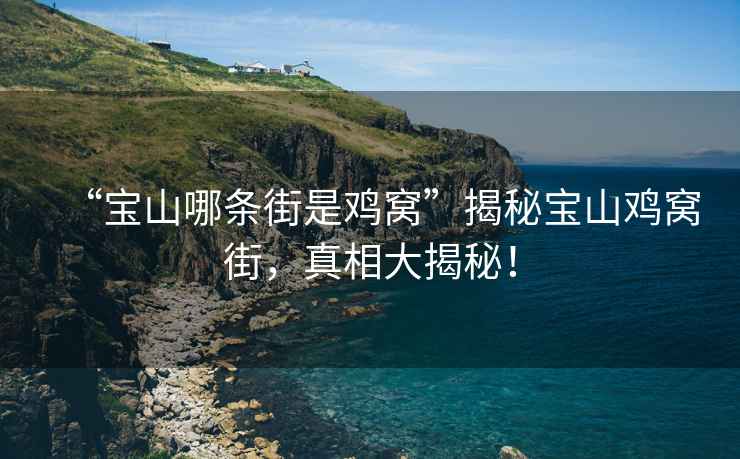 “寶山哪條街是雞窩”揭秘寶山雞窩街，真相大揭秘！