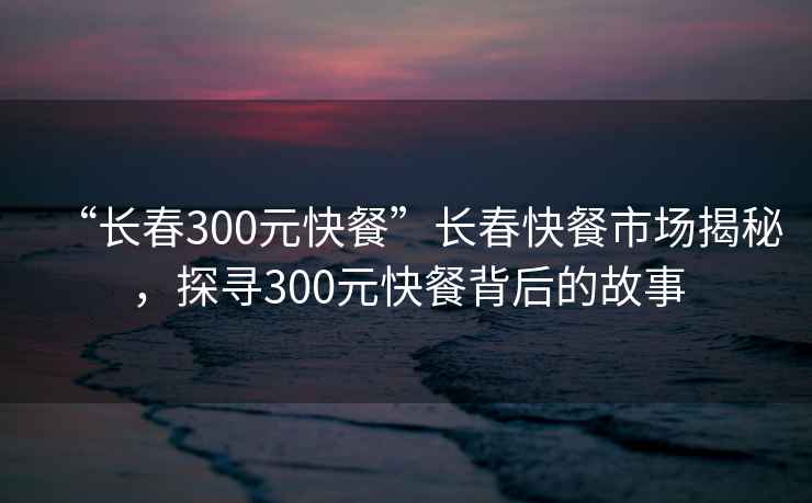 “長(cháng)春300元快餐”長(cháng)春快餐市場(chǎng)揭秘，探尋300元快餐背后的故事