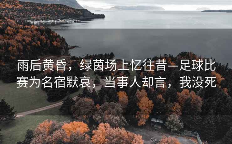 雨后黃昏，綠茵場(chǎng)上憶往昔—足球比賽為名宿默哀，當事人卻言，我沒(méi)死